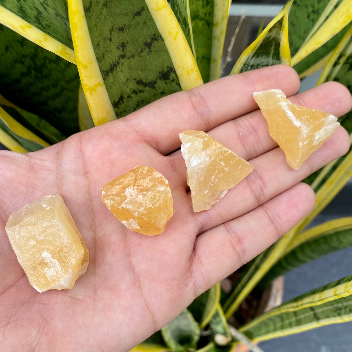Pedra Bruta | Calcita Amarela - Criatividade, Vigor e Autoconfiança