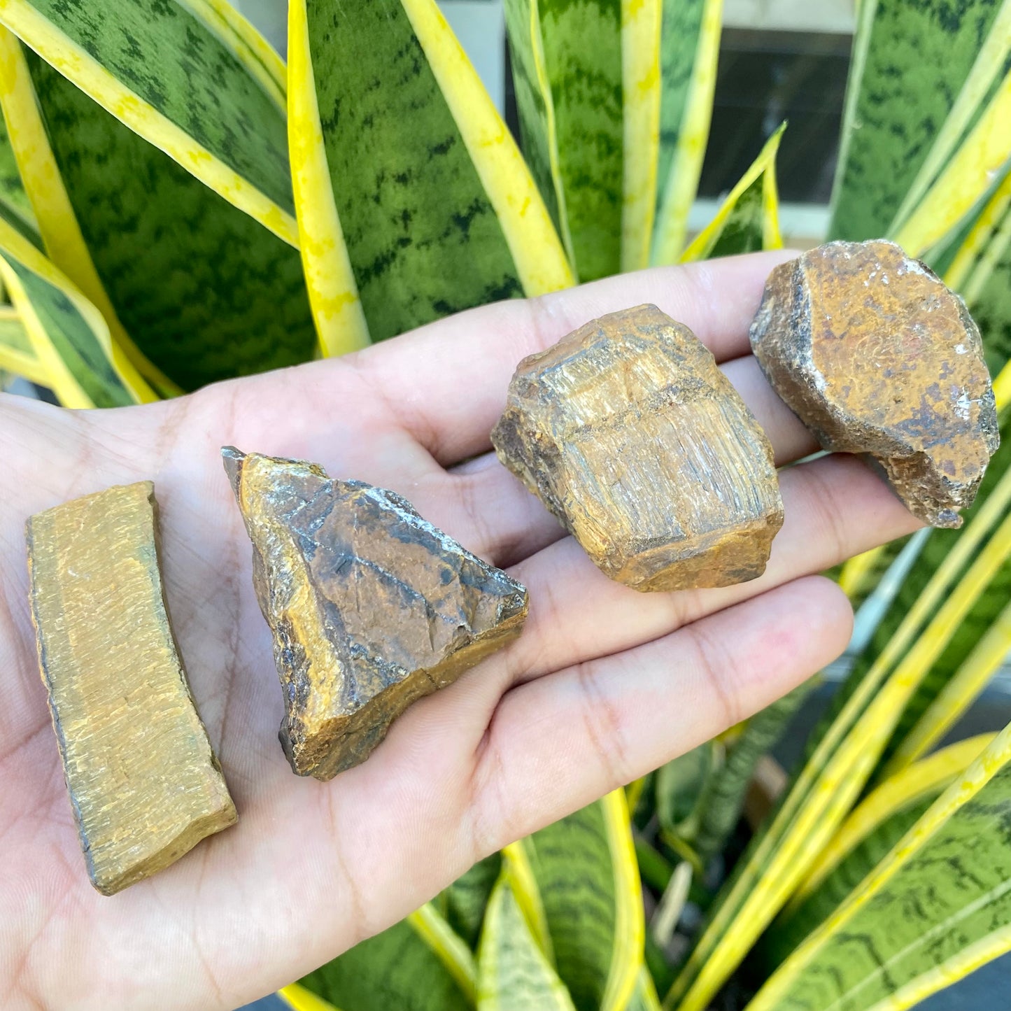 Pedra Bruta | Olho de Tigre - Proteção, Positividade e Prosperidade