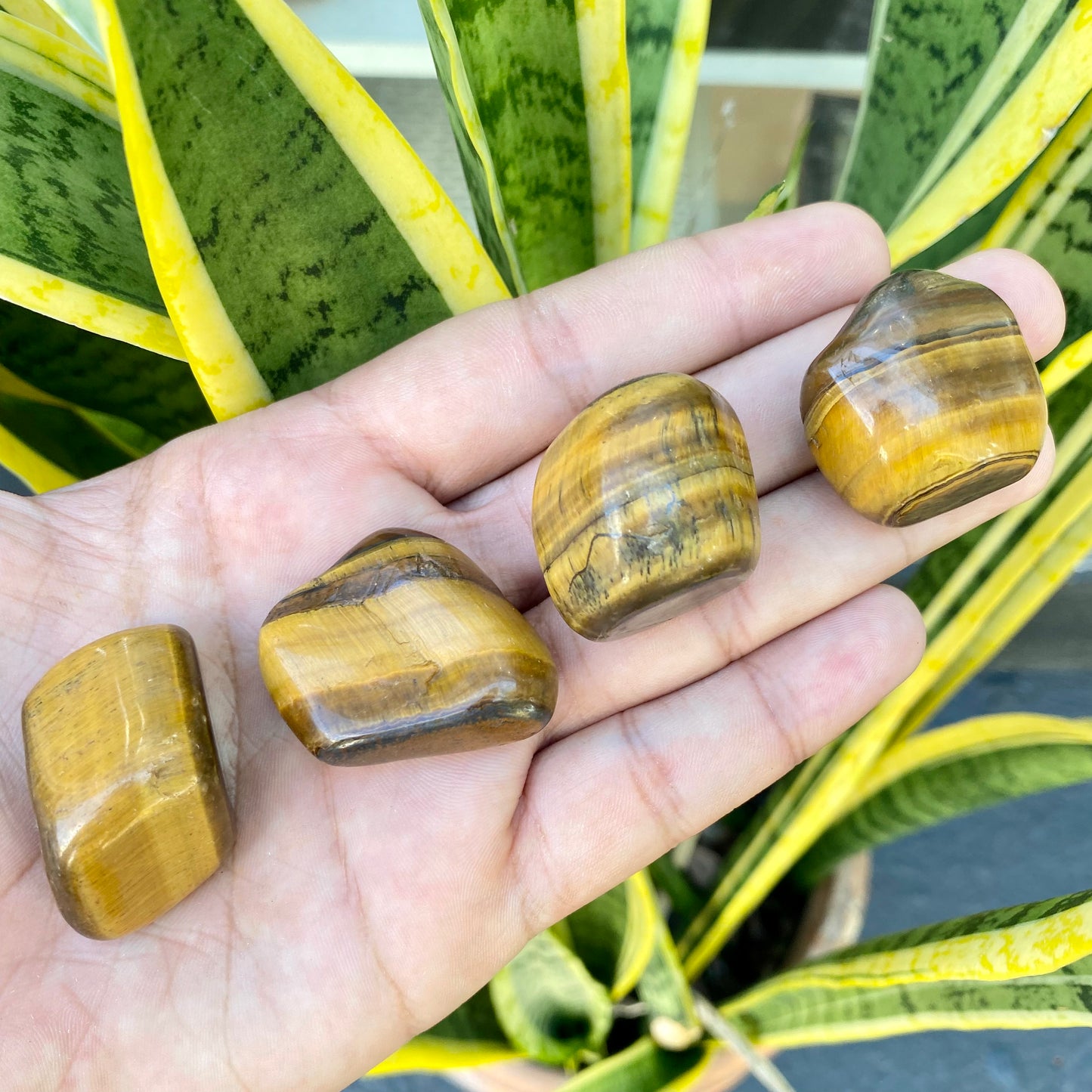 Pedra Rolada | Olho de Tigre - Proteção, Positividade e Prosperidade