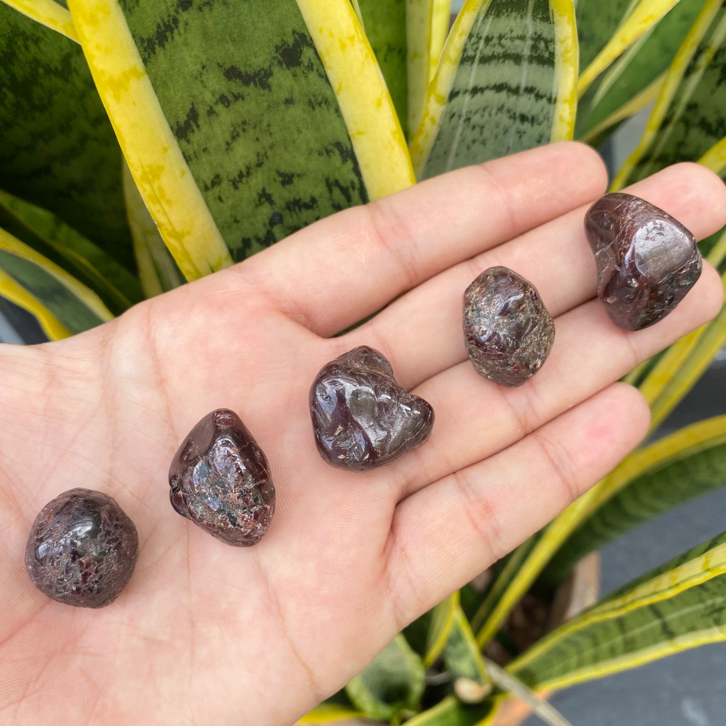 Pedra Rolada | Pedra Granada - Prosperidade, Determinação e Realização