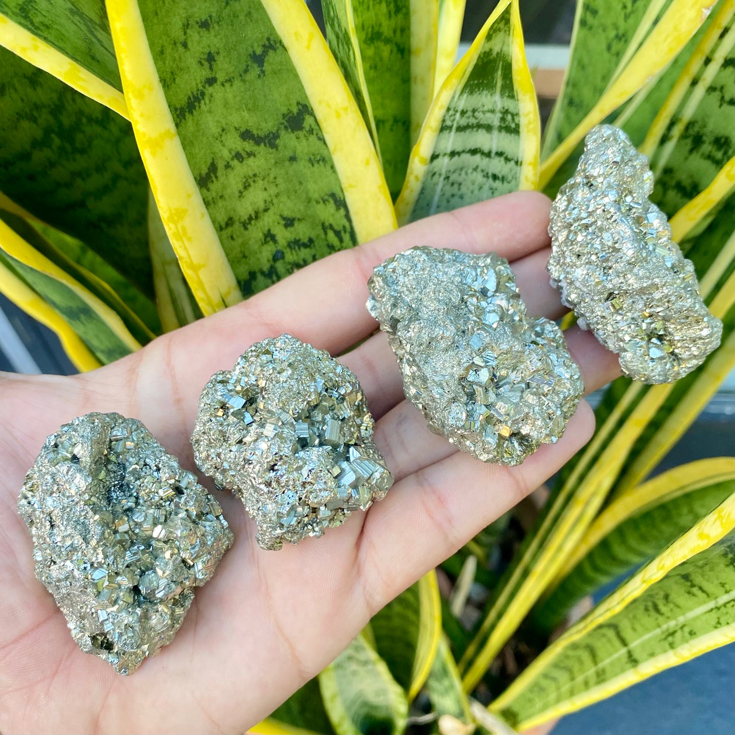 Pedra Bruta | Pirita - Prosperidade, Abundância e Crescimento