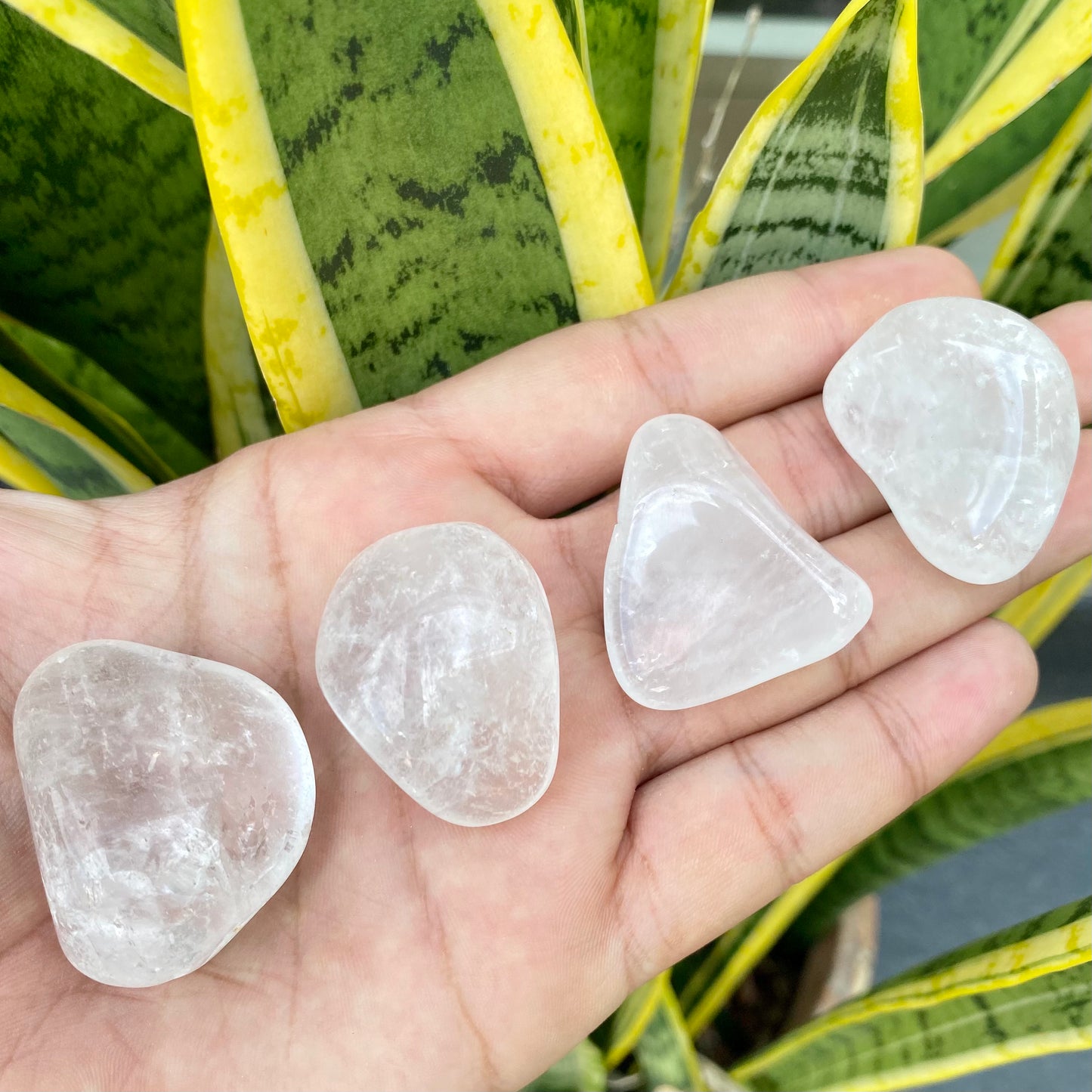 Pedra Rolada | Quartzo Cristal - Limpeza, Purificação e Energia