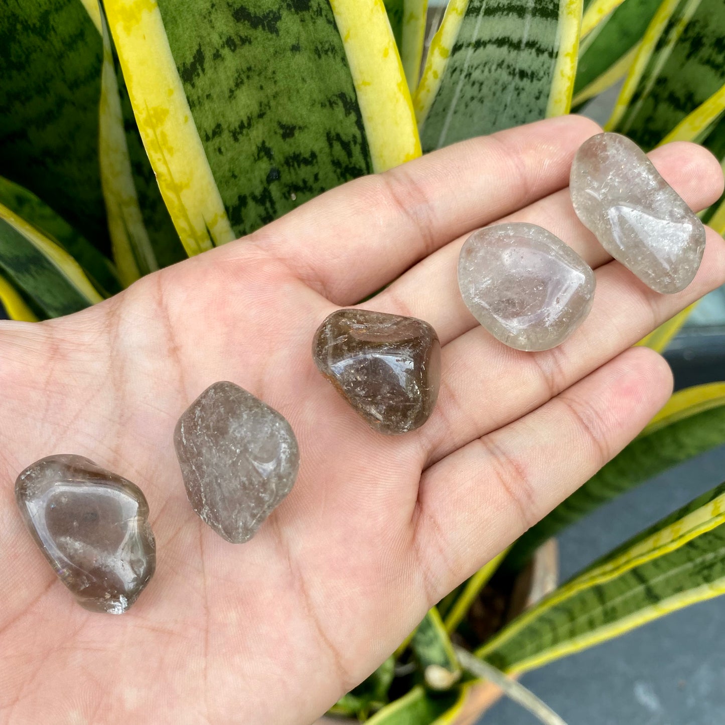 Pedra Rolada | Quartzo Fumê - Proteção, Transmutação e Limpeza Energética