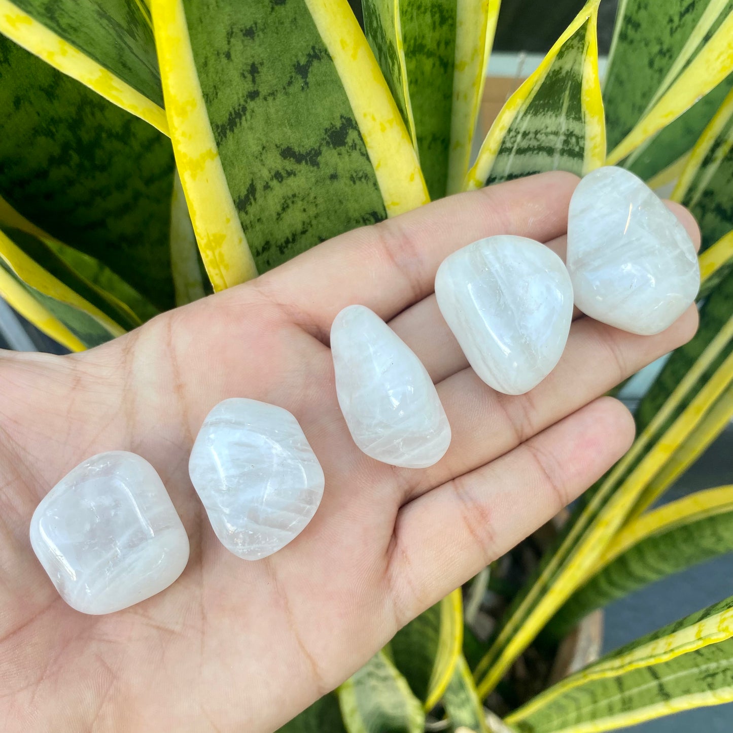 Pedra Rolada | Quartzo Leitoso - Purificação, Limpeza e Clareza