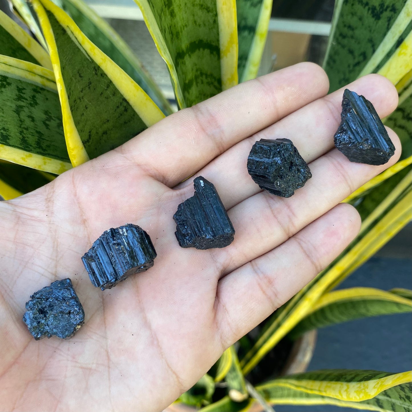 Pedra Bruta | Turmalina Negra - Proteção, Clareza e Autoconfiança