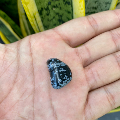 Obsidiana Flocos de Neve #PedraRolada